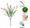 Artificial Outdoor Flowers 20 Bundles UV Resistant Red Monkey Grass Faux Plants